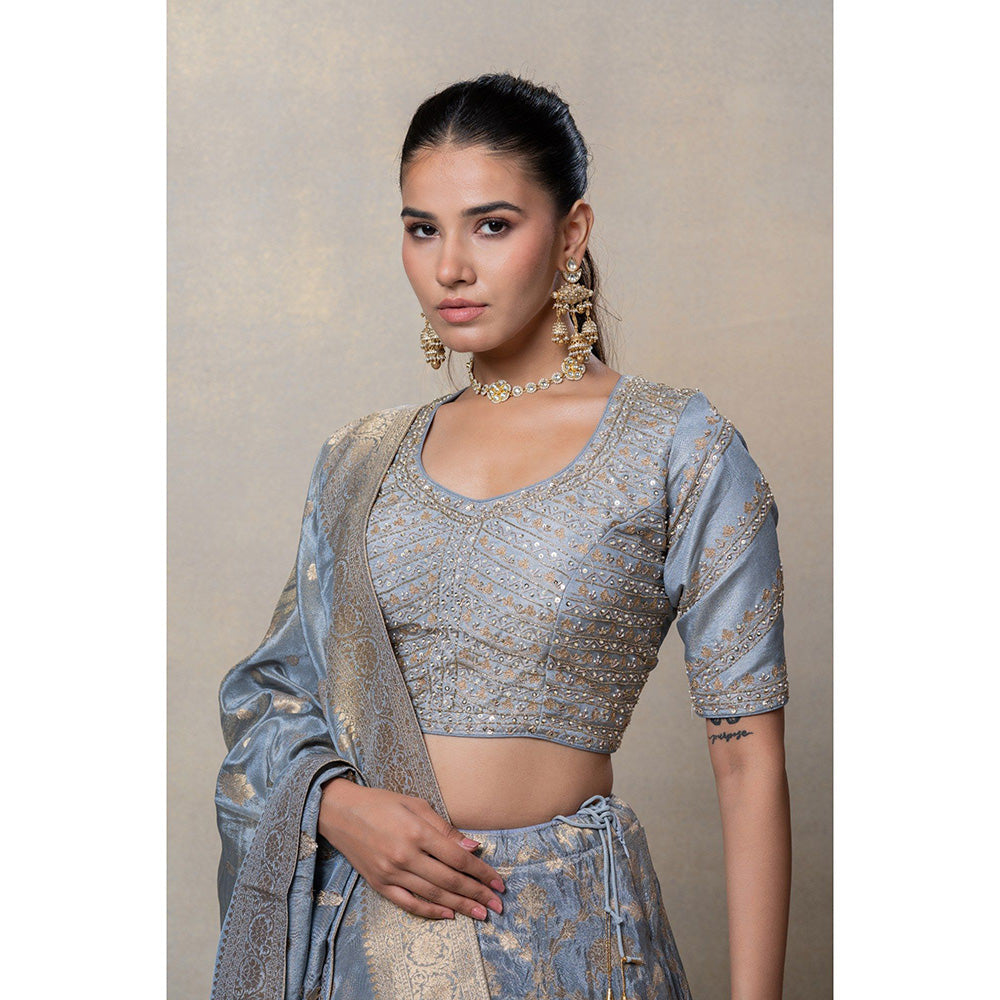 RIYAASAT Metallic Silver Soft Silk Lehenga with Blouse and Dupatta (Set of 3)