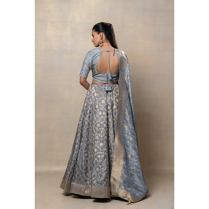 RIYAASAT Metallic Silver Soft Silk Lehenga with Blouse and Dupatta (Set of 3)