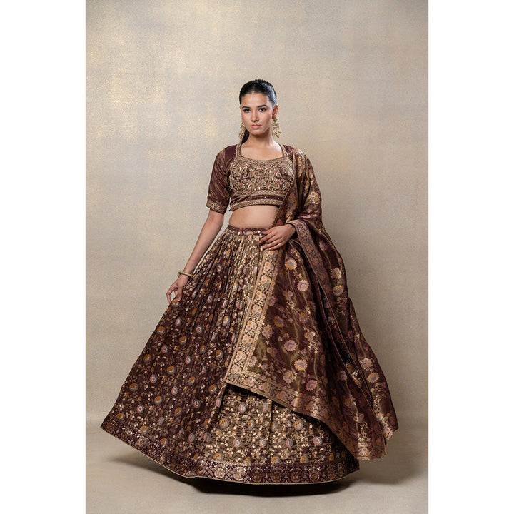 RIYAASAT Coco Brown Soft Silk Lehenga with Blouse and Dupatta (Set of 3)