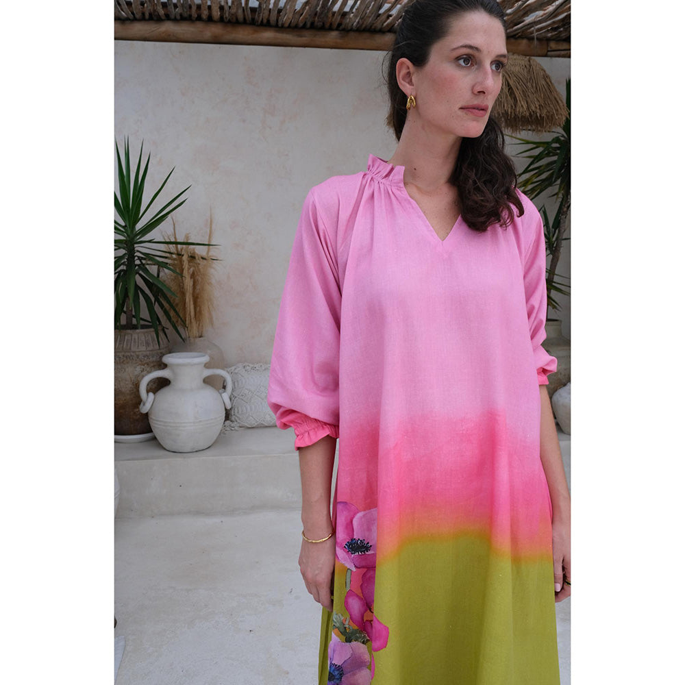 Roza Pret Pink Ombre Orion Dress