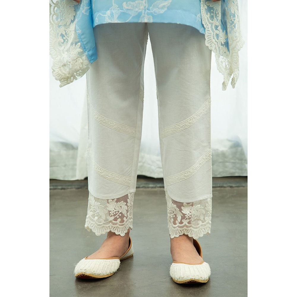 Roze Ambar Pant