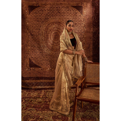 Roze Zaina Embroidered Saree