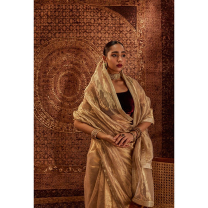Roze Zaina Embroidered Saree
