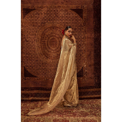 Roze Zaina Embroidered Saree