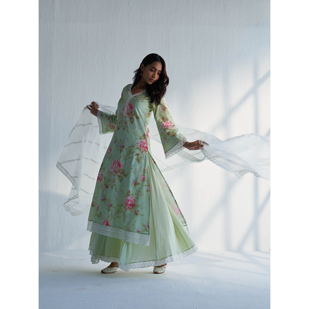 Roze Maysoon Dupatta