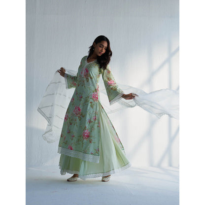 Roze Maysoon Dupatta