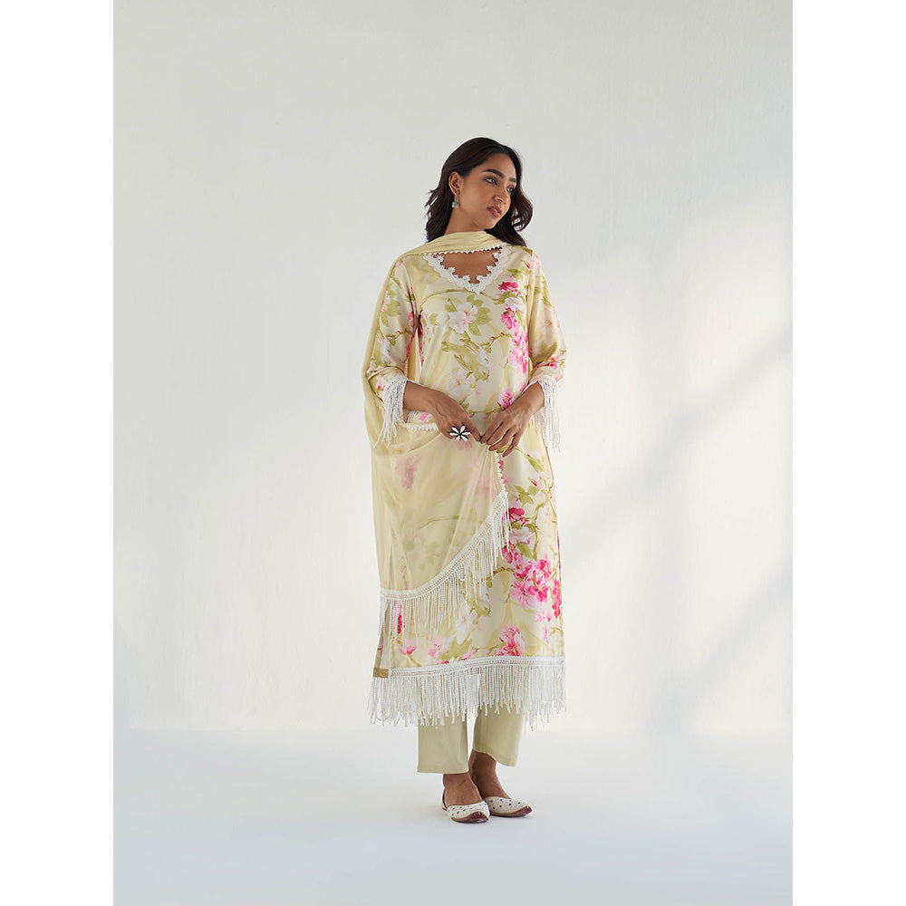 Roze Mahnoor Dupatta