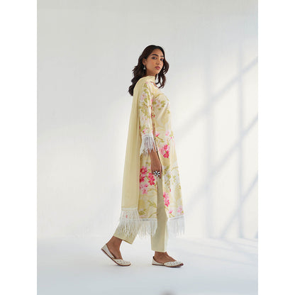 Roze Mahnoor Dupatta