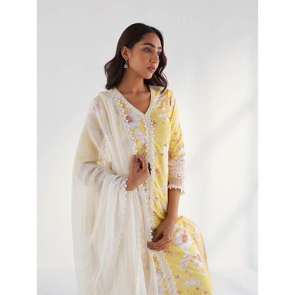 Roze Amina Dupatta