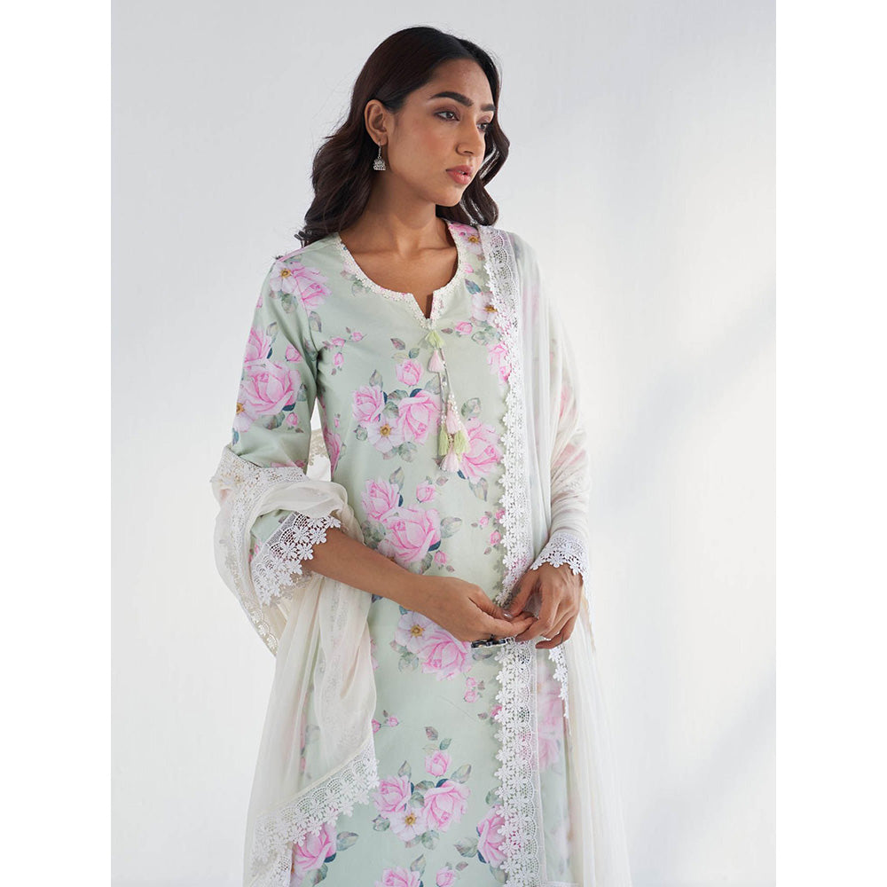 Roze Huma Dupatta