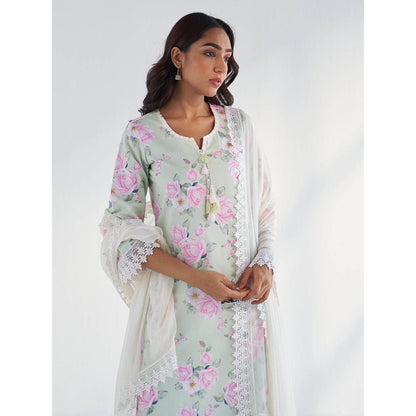 Roze Huma Dupatta