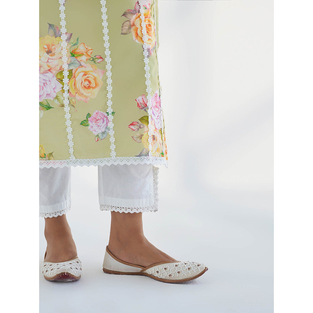 Roze Sahar Pant