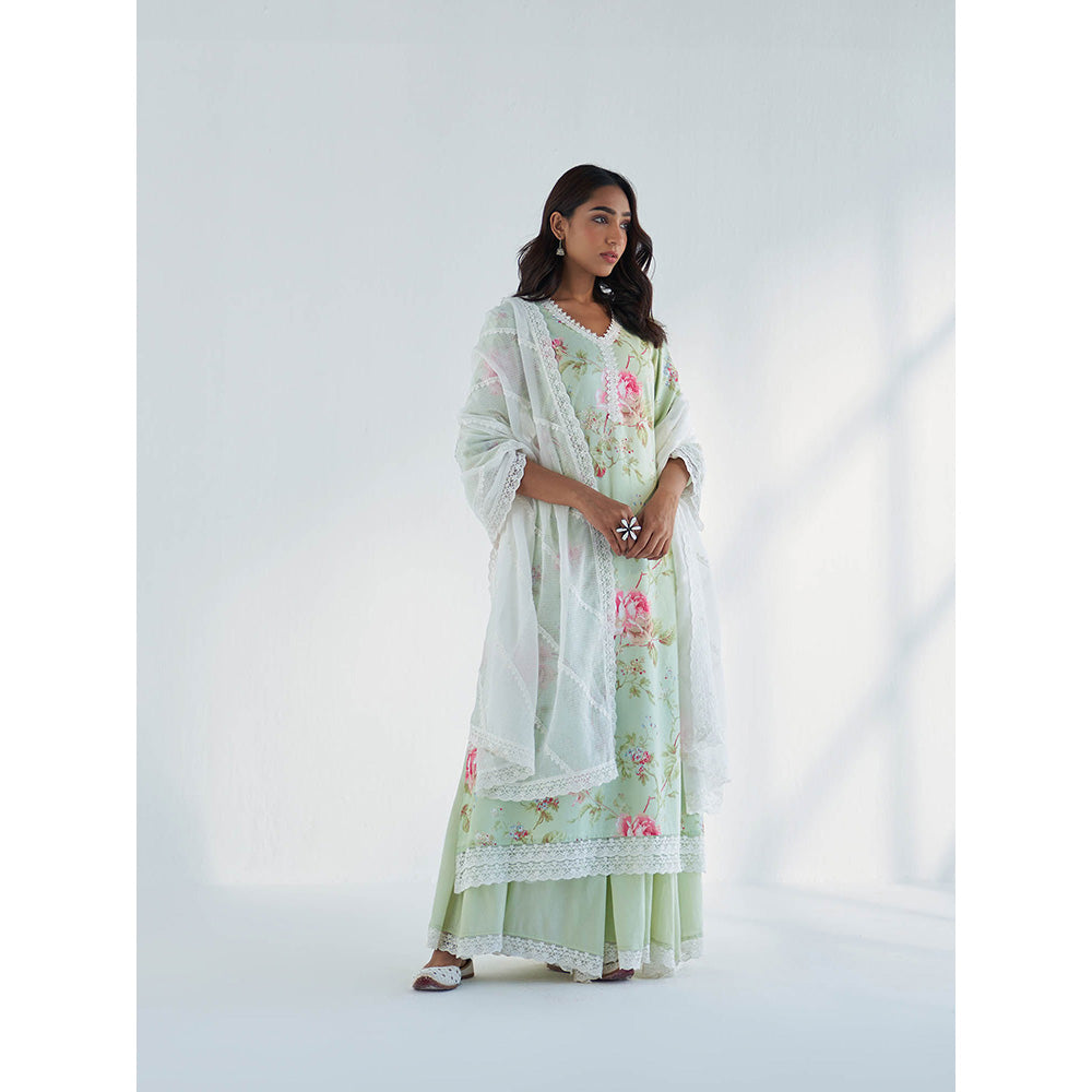 Roze Maysoon Kurta with Sharara & Dupatta (Set of 3)