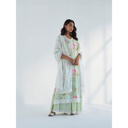 Roze Maysoon Kurta with Sharara & Dupatta (Set of 3)