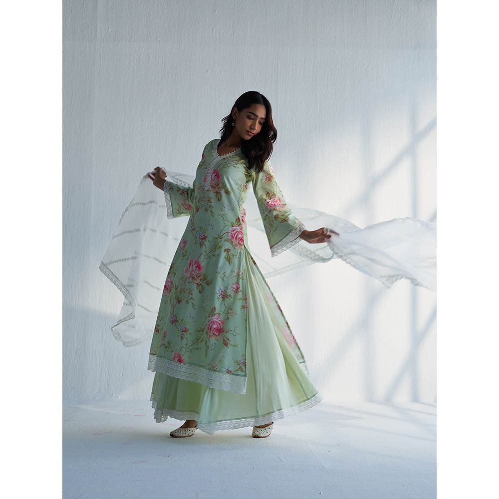 Roze Maysoon Kurta with Sharara & Dupatta (Set of 3)