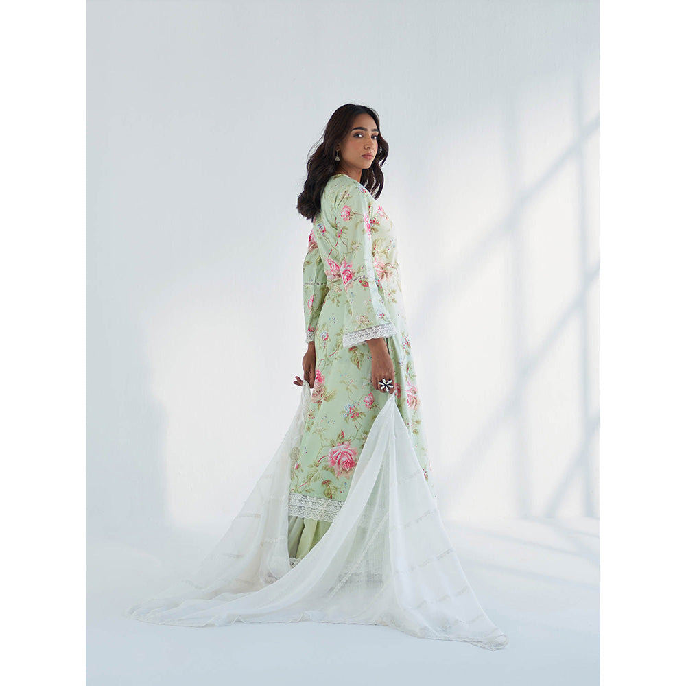 Roze Maysoon Kurta with Sharara & Dupatta (Set of 3)