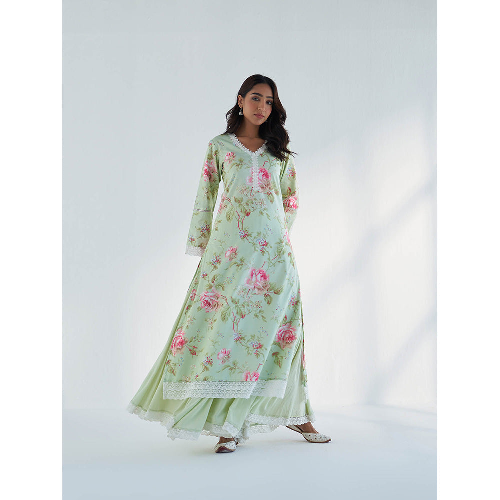 Roze Maysoon Kurta with Sharara & Dupatta (Set of 3)