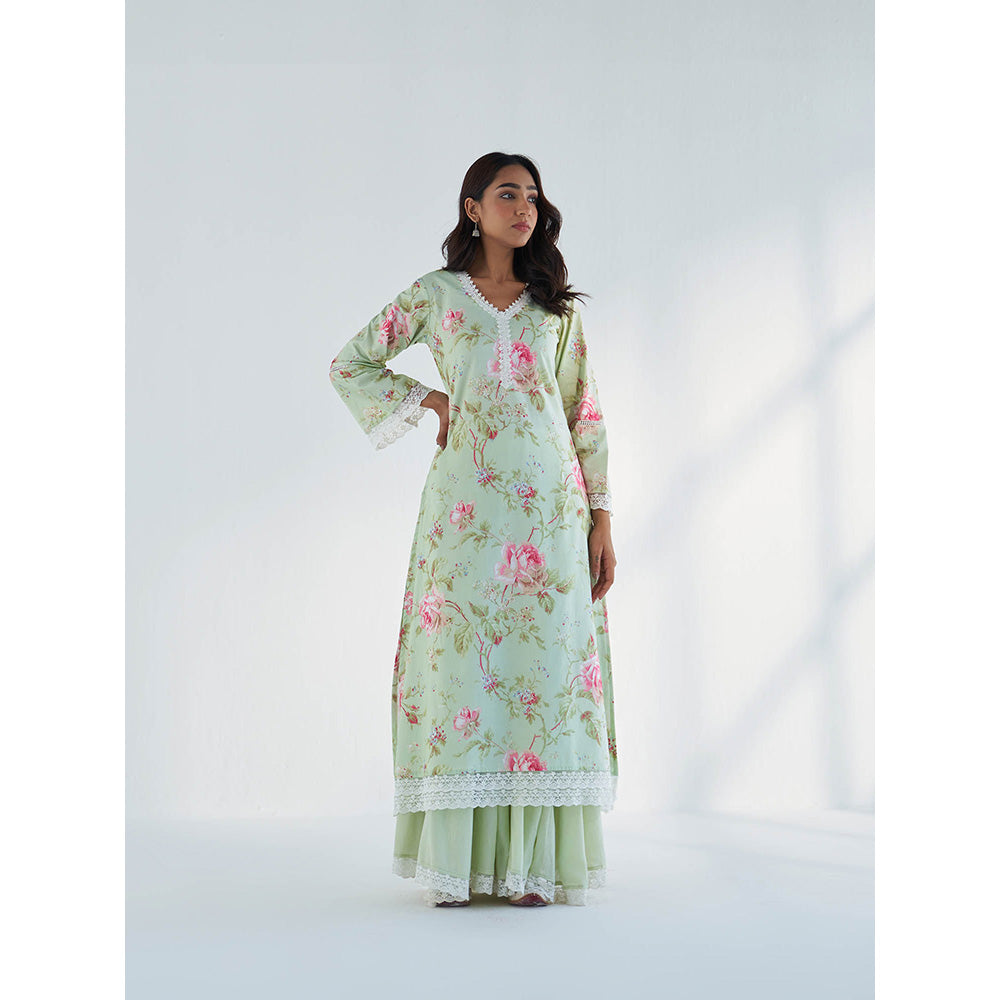 Roze Maysoon Kurta