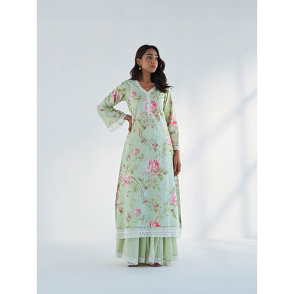 Roze Maysoon Kurta