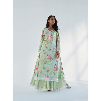 Roze Maysoon Kurta