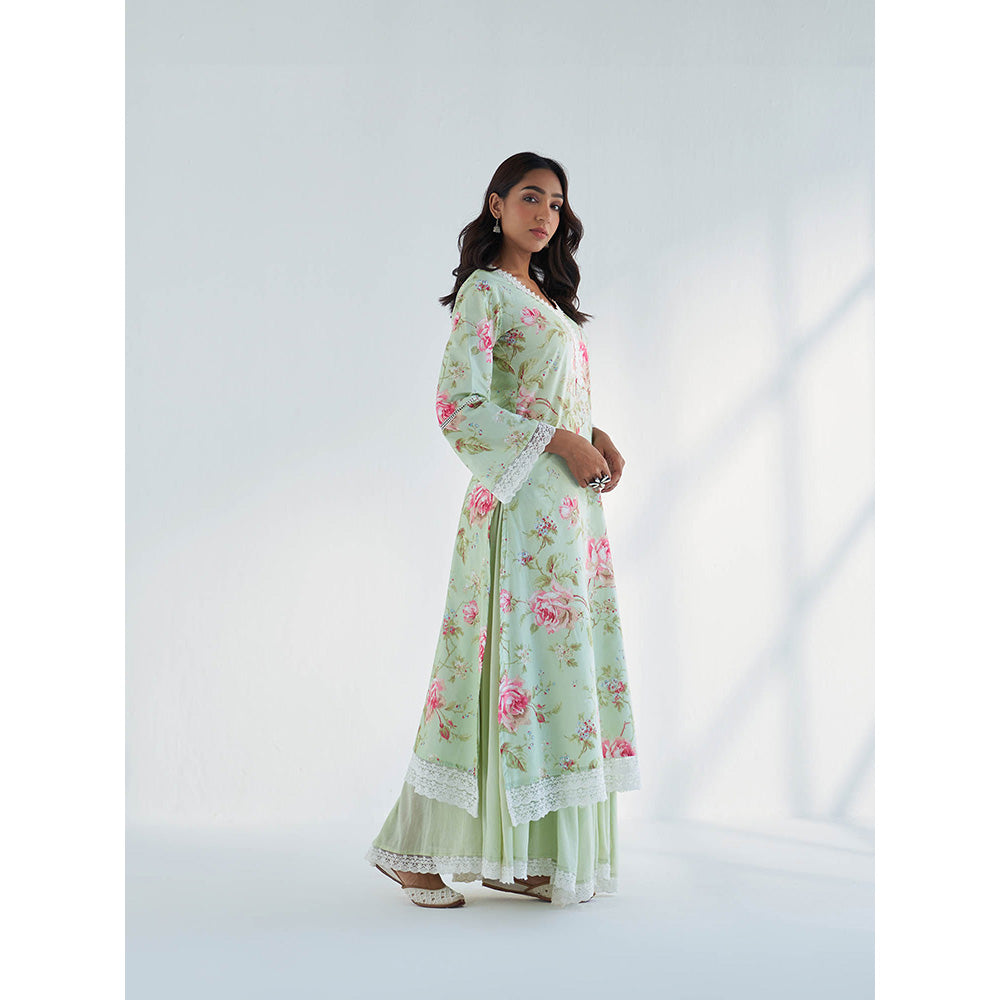 Roze Maysoon Kurta