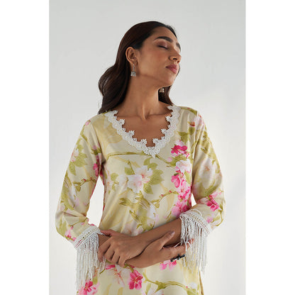 Roze Mahnoor Kurta