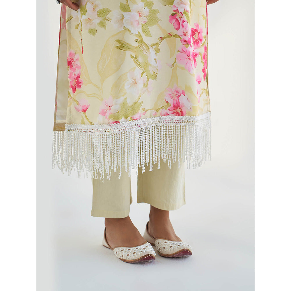 Roze Mahnoor Pant