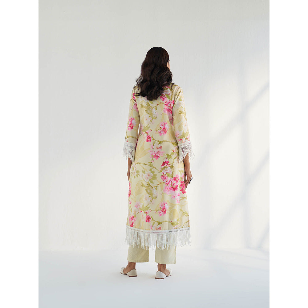 Roze Mahnoor Pant