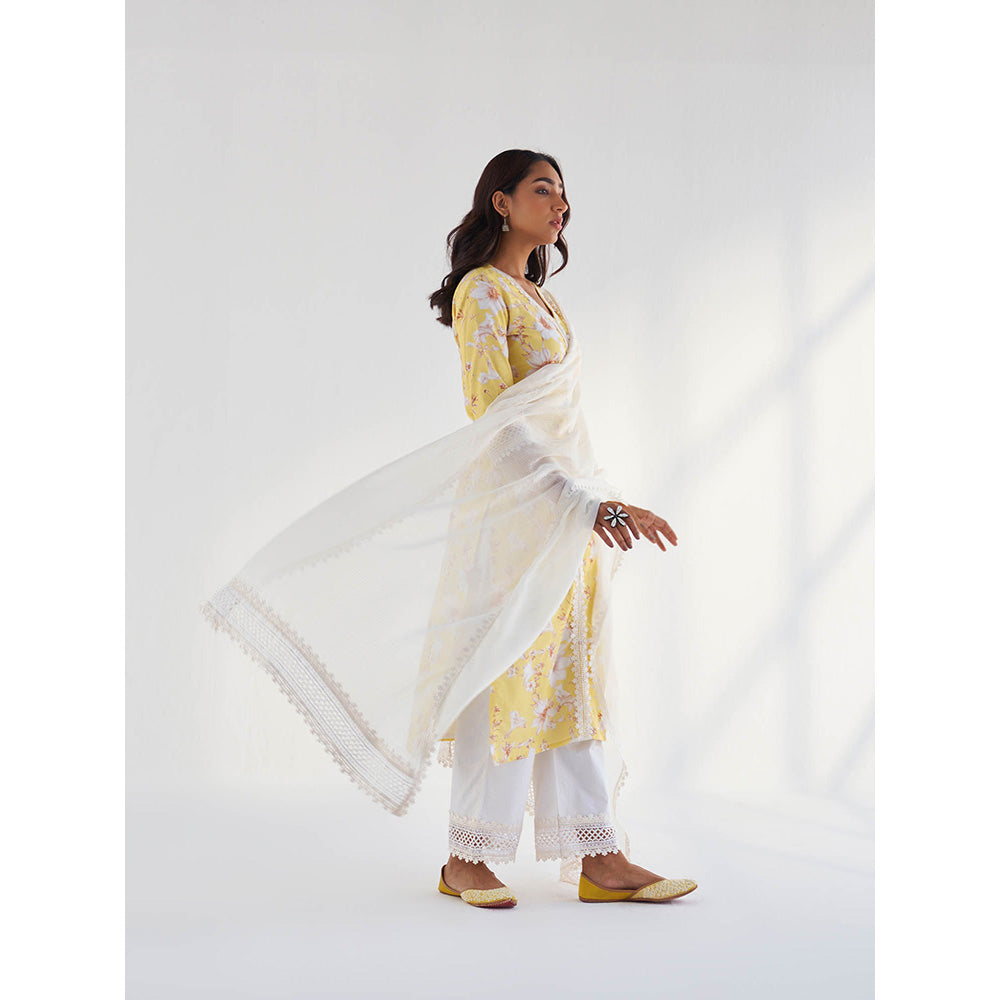 Roze Amina Kurta with Pant & Dupatta (Set of 3)