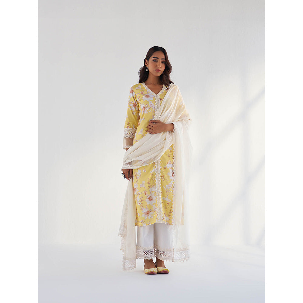 Roze Amina Kurta with Pant & Dupatta (Set of 3)