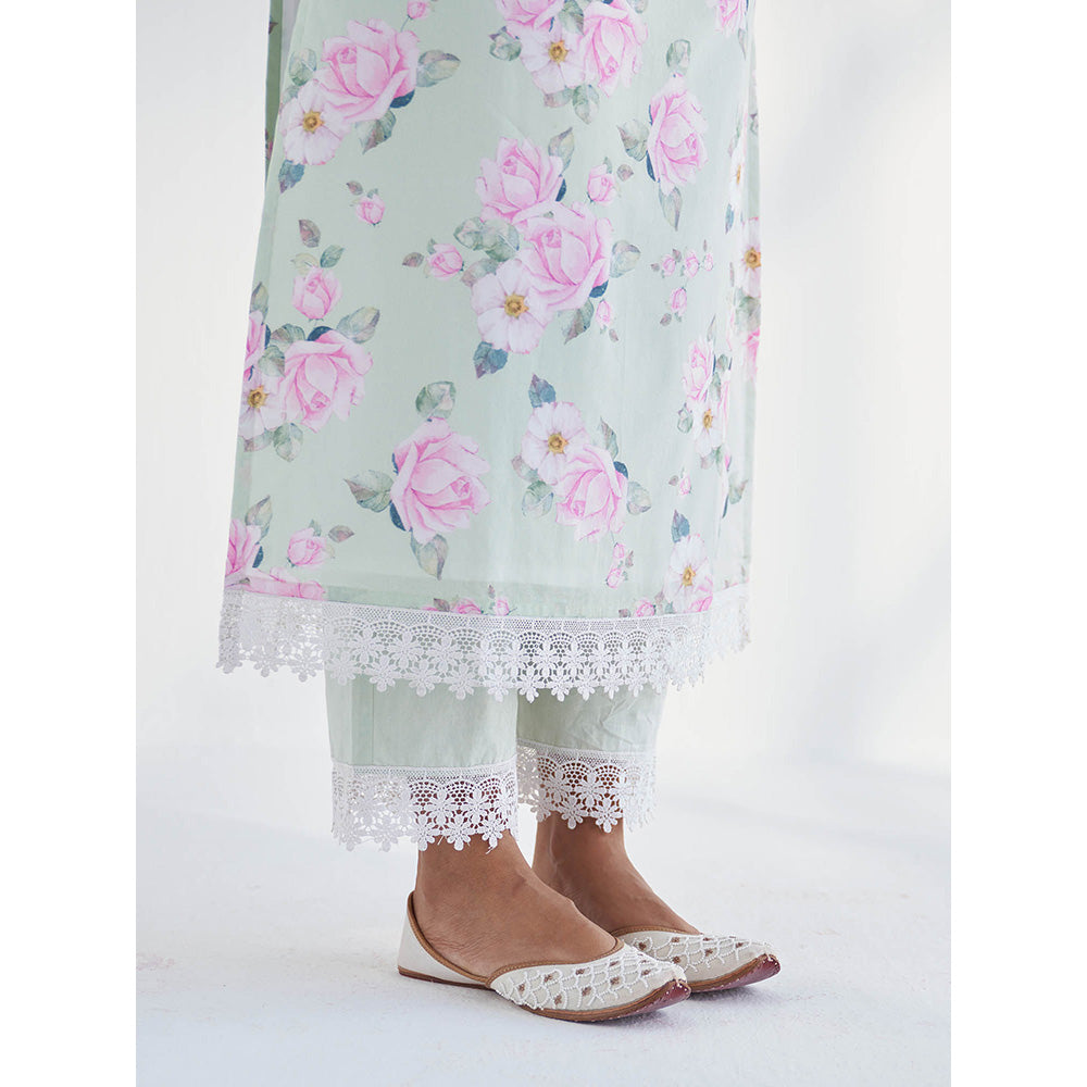 Roze Huma Pant
