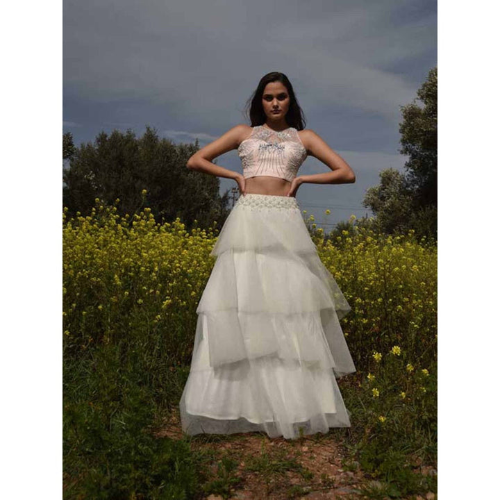 Rozina Off White Embroidered Crop Top and Skirt (Set of 2)