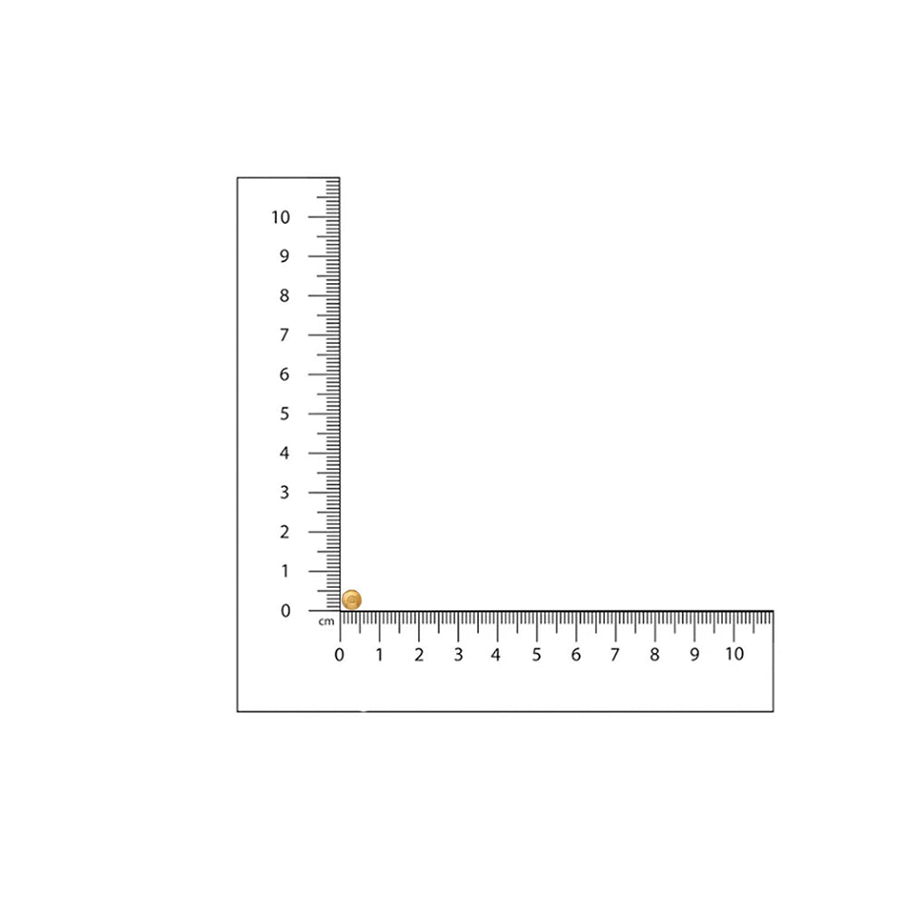 Ruby Raang Studio Gold Brass Gold Plated Statement Pair Of Earrings