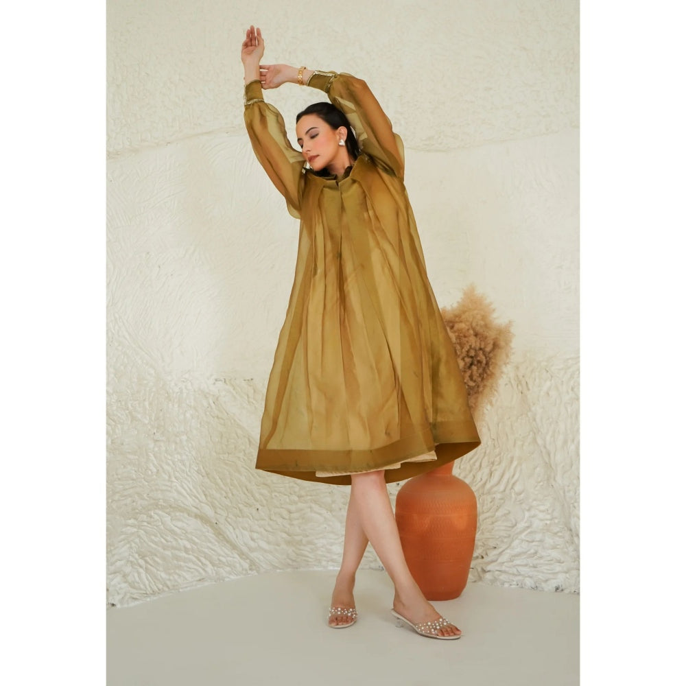 Ruhm Golden Sheer Flare Dress