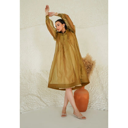 Ruhm Golden Sheer Flare Dress