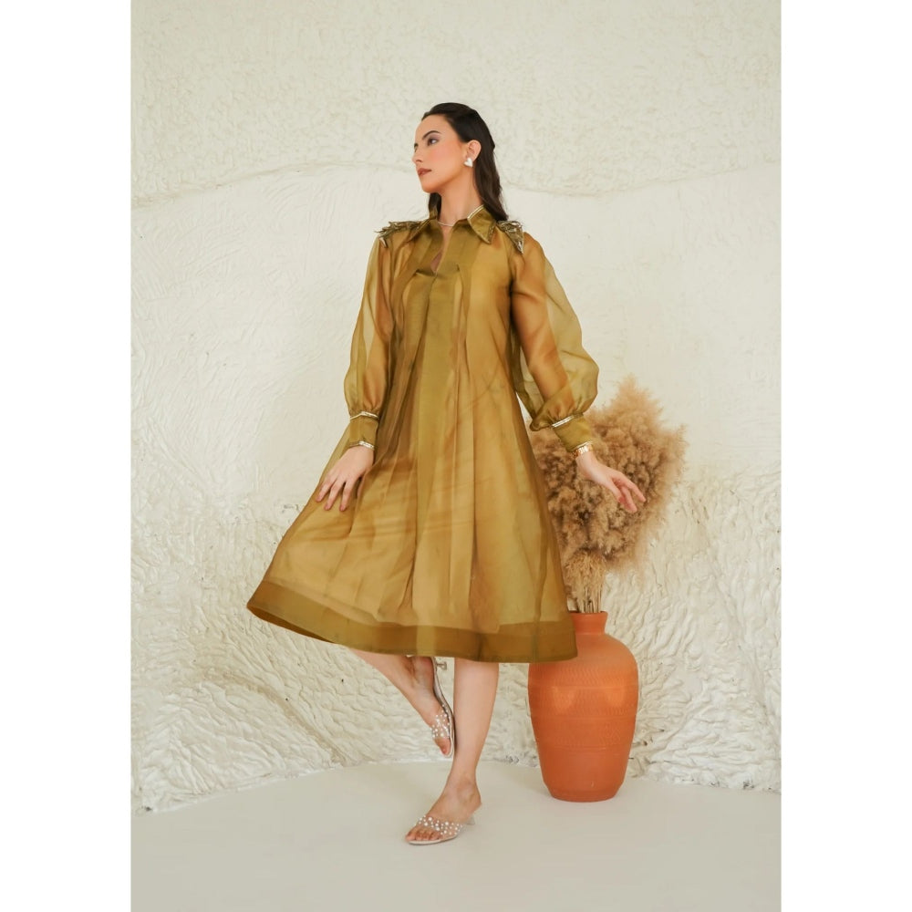 Ruhm Golden Sheer Flare Dress