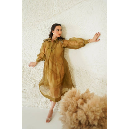 Ruhm Golden Sheer Flare Dress