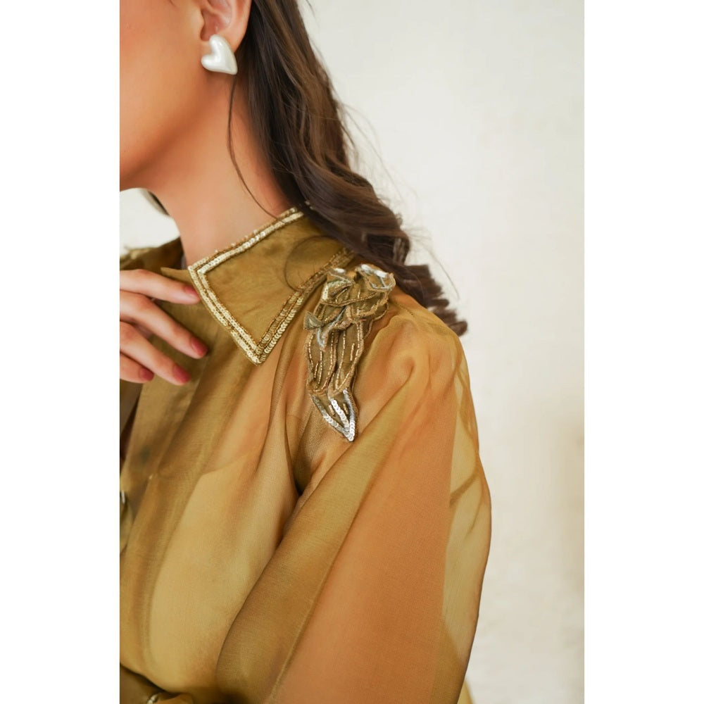 Ruhm Golden Sheer Flare Dress