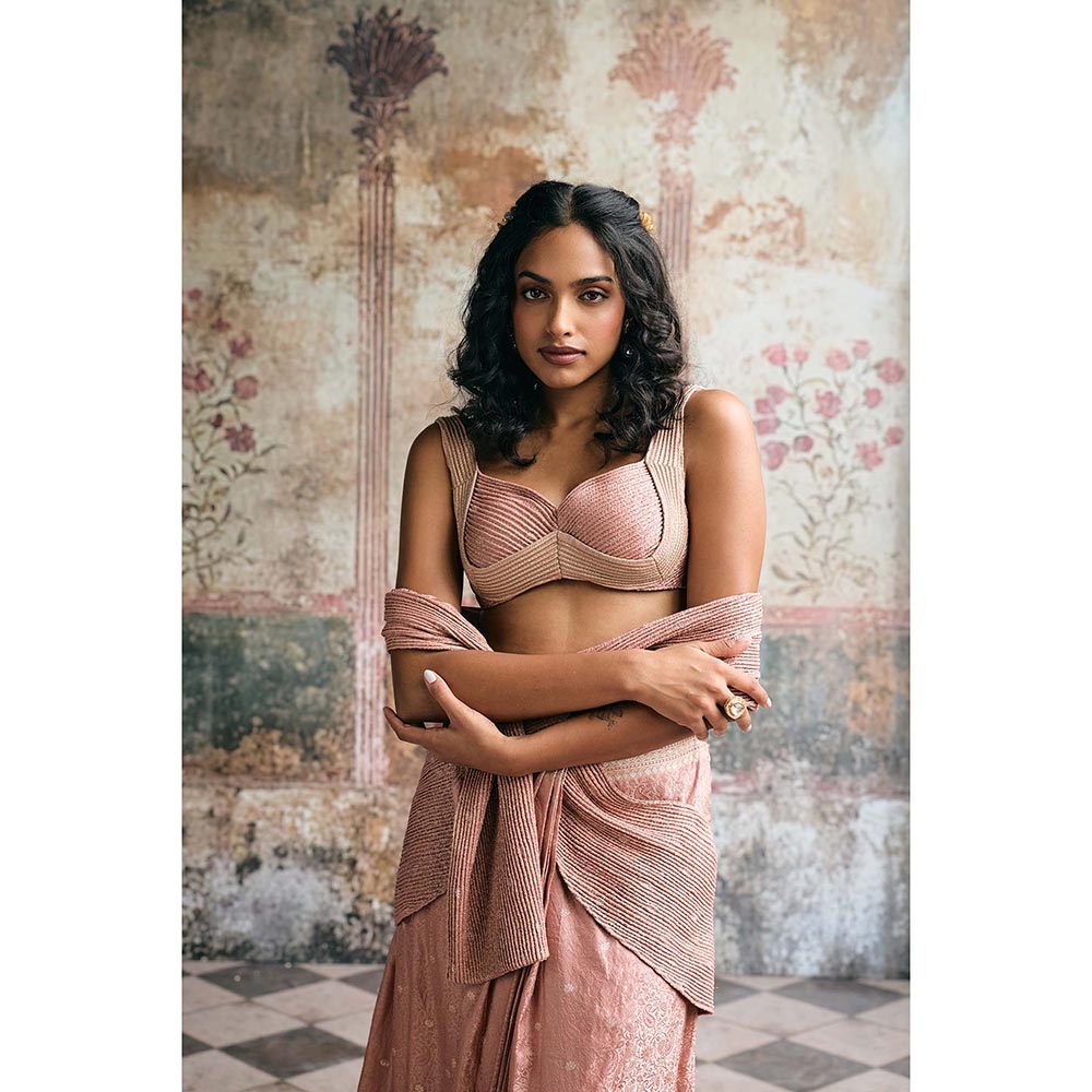 Saanjh by Lea Womens Woven Pink Pre-Draped Saree with Stitched Blouse