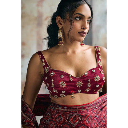 Saanjh by Lea Womens Printed Maroon Pre-Draped Saree with Stitched Blouse