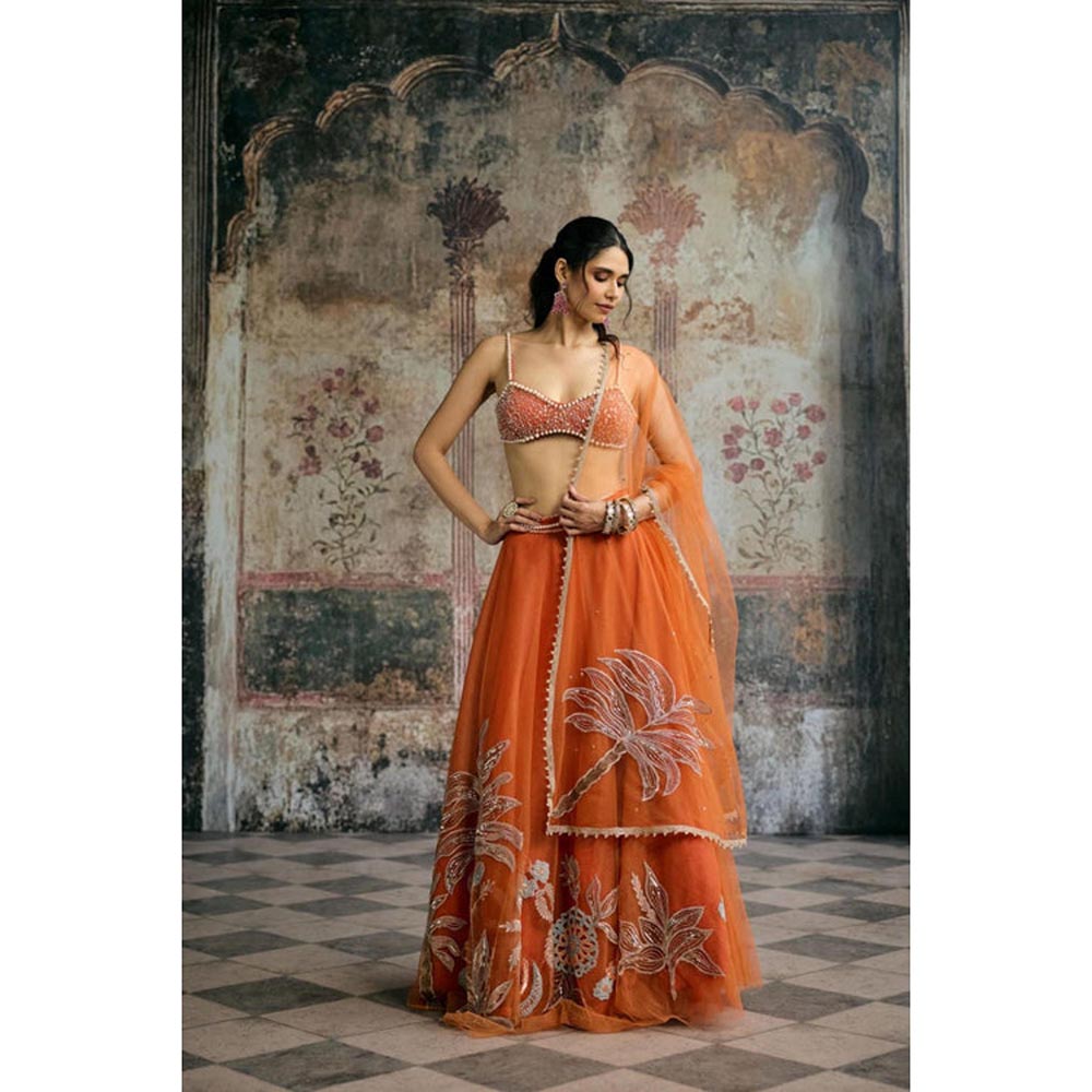Saanjh by Lea Sahana Orange Hand Embroidered Blouse