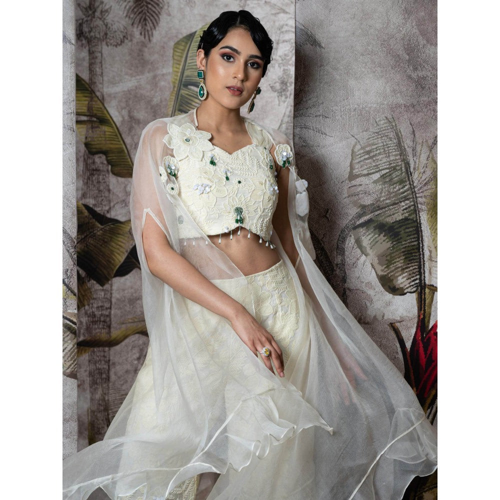 Sainy Garg Couture Chandni Crop Top with Pant An Cape (Set of 3)