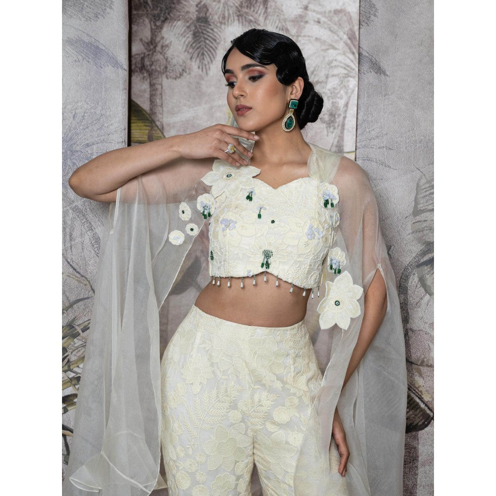 Sainy Garg Couture Chandni Crop Top with Pant An Cape (Set of 3)