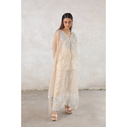 Saksham & Neharicka Beige Rupa Cape with Top and Pant (Set of 3)