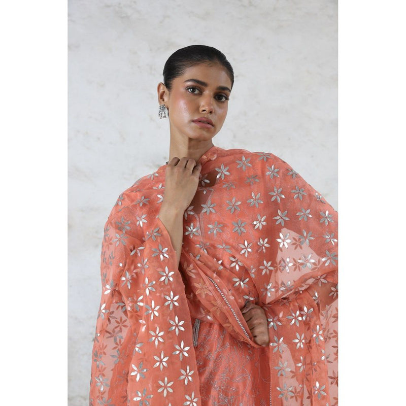 Saksham & Neharicka Peach Sarada Kurta with Palazzo and Dupatta (Set of 3)