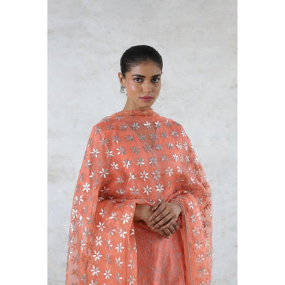 Saksham & Neharicka Peach Sarada Kurta with Palazzo and Dupatta (Set of 3)