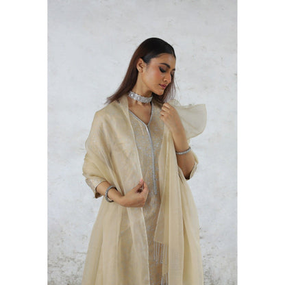 Saksham & Neharicka Beige Charulata Kurta with Pant and Dupatta (Set of 3)
