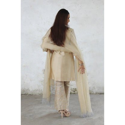 Saksham & Neharicka Beige Charulata Kurta with Pant and Dupatta (Set of 3)