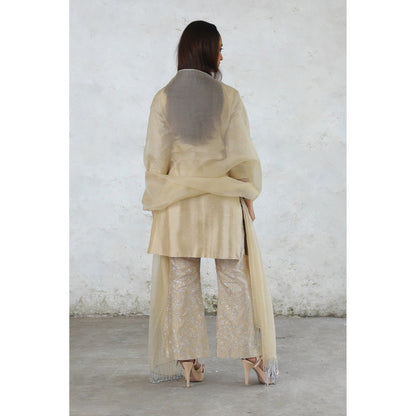 Saksham & Neharicka Beige Charulata Kurta with Pant and Dupatta (Set of 3)