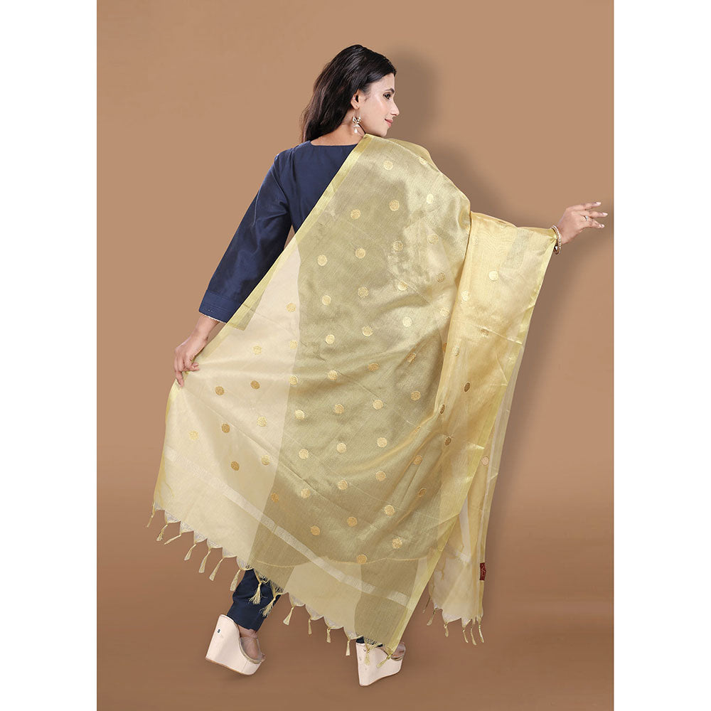 SALWAR STUDIO Gold Zari Woven Banarasi Brocade Dupatta